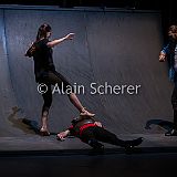 AlainScherer DonQuixotte_20171105_055 CPR.jpg