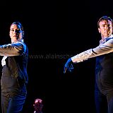 Flamenc'Ambos 20121114_024 CPR.jpg