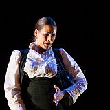 Flamenc'Ambos 20121114_042 CPR.jpg