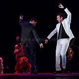 Flamenc'Ambos 20121114_075 CPR.jpg