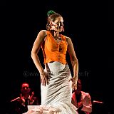 Flamenc'Ambos 20121114_090 CPR.jpg