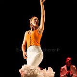 Flamenc'Ambos 20121114_094 CPR.jpg