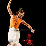 Flamenc'Ambos 20121114_095 CPR.jpg