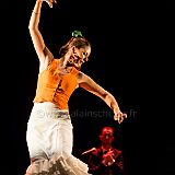 Flamenc'Ambos 20121114_097 CPR.jpg