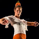 Flamenc'Ambos 20121114_120 CPR.jpg