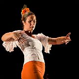 Flamenc'Ambos 20121114_121 CPR.jpg