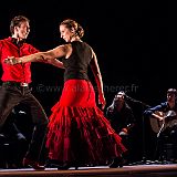 Flamenc'Ambos 20121114_140 CPR.jpg