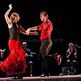 Flamenc'Ambos 20121114_157 CPR.jpg