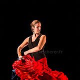 Flamenc'Ambos 20121114_167 CPR.jpg