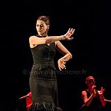 Flamenc'Ambos 20121114_170 CPR.jpg