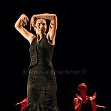 Flamenc'Ambos 20121114_171 CPR.jpg