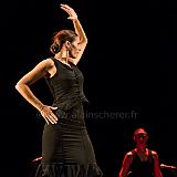 Flamenc'Ambos 20121114_172 CPR.jpg