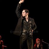 Flamenc'Ambos 20121114_173 CPR.jpg