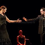 Flamenc'Ambos 20121114_176 CPR.jpg