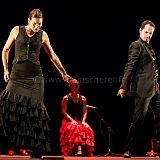 Flamenc'Ambos 20121114_177 CPR.jpg