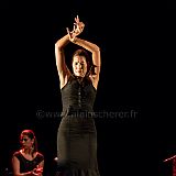 Flamenc'Ambos 20121114_183 CPR.jpg