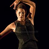 Flamenc'Ambos 20121114_186 CPR.jpg