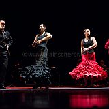 Flamenc'Ambos 20121114_196 CPR.jpg