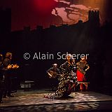 Carmen Flamenco_20170721_061 CPR.jpg