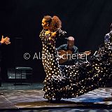 Carmen Flamenco_20170721_072 CPR.jpg