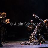 Carmen Flamenco_20170721_089 CPR.jpg