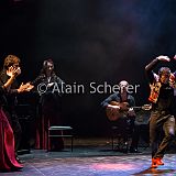 Carmen Flamenco_20170721_162 CPR.jpg