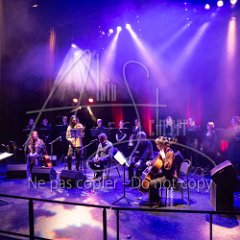 FLAMENCO VIVO