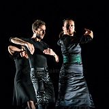 De Flamencas_20130727_005 CPR.jpg