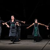 De Flamencas_20130727_012 CPR.jpg