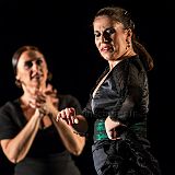 De Flamencas_20130727_026 CPR.jpg