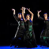 De Flamencas_20130727_076 CPR.jpg