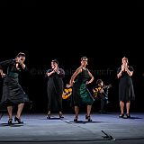 De Flamencas_20130727_120 CPR.jpg