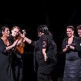 De Flamencas_20130727_130 CPR.jpg