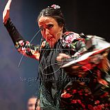 RéunionFlamenca 20231111 057.jpg