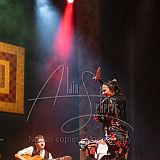 RéunionFlamenca 20231111 060.jpg