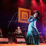 RéunionFlamenca 20231111 081.jpg