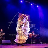 RéunionFlamenca 20231111 095.jpg