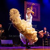 RéunionFlamenca 20231111 099.jpg