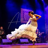 RéunionFlamenca 20231111 103.jpg