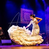 RéunionFlamenca 20231111 105.jpg