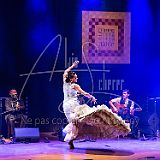 RéunionFlamenca 20231111 113.jpg