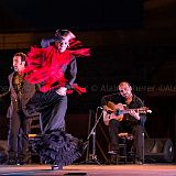 Baile de_Palabra_20140808_007 CPR.jpg