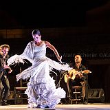 Baile de_Palabra_20140808_032 CPR.jpg