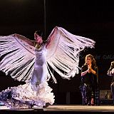 Baile de_Palabra_20140808_050 CPR.jpg