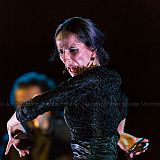 Baile de_Palabra_20140808_073 CPR.jpg