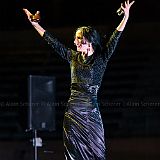 Baile de_Palabra_20140808_081 CPR.jpg