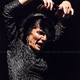 Baile de_Palabra_20140808_085 CPR.jpg