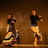 FigurasFlamencas 20240314 005.jpg