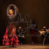 FigurasFlamencas 20240314 016.jpg