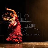 FigurasFlamencas 20240314 021.jpg